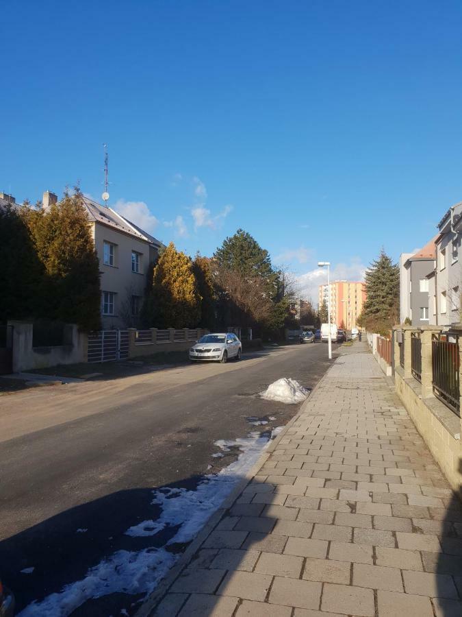 Apartman S Terasou 奥洛穆茨 外观 照片